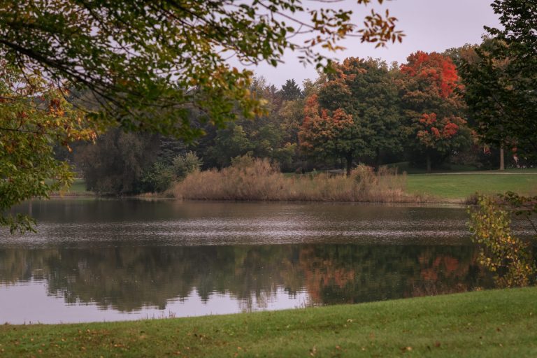 Lake